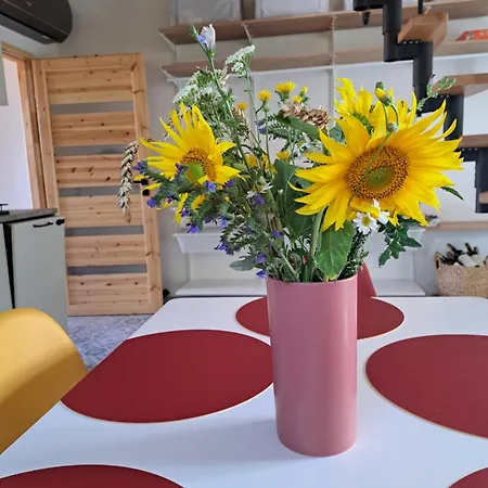 Se Saunou A Vinny Sklep Zivjeli Holiday home