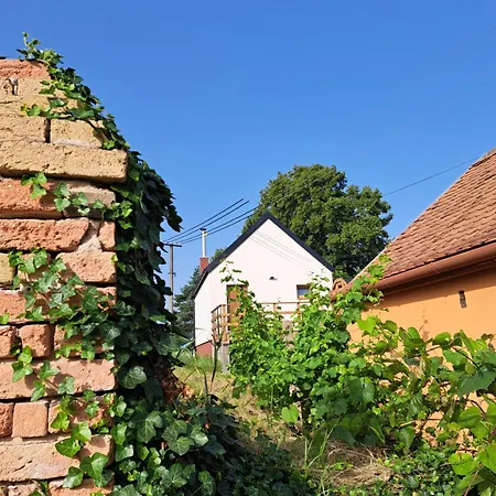 Se Saunou A Vinny Sklep Zivjeli Holiday home *