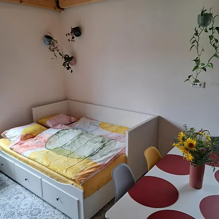 Se Saunou A Vinny Sklep Zivjeli * Jevisovka