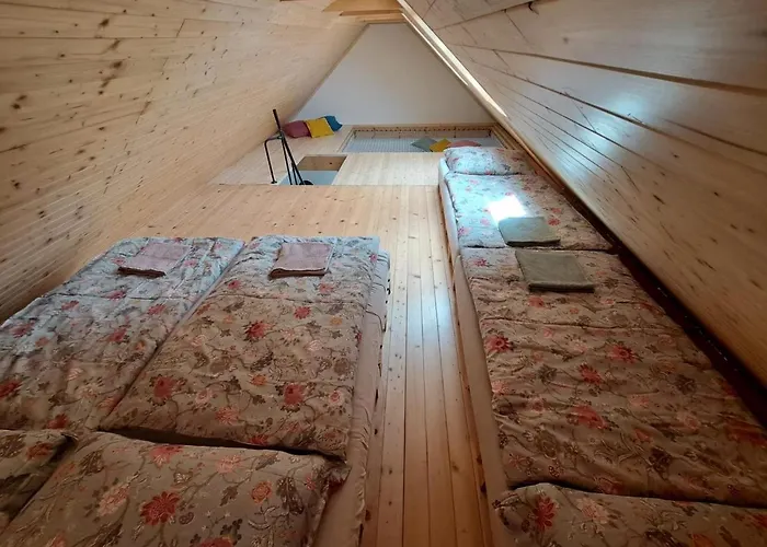 Hébergement de vacances Se Saunou A Vinny Sklep Zivjeli *