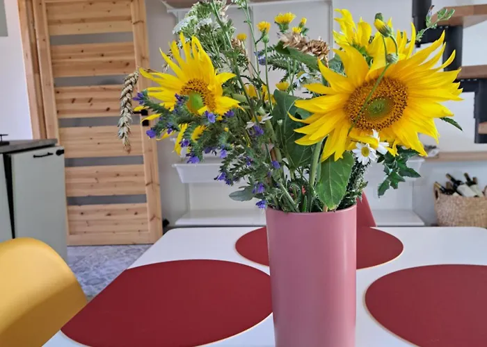 Se Saunou A Vinny Sklep Zivjeli Hébergement de vacances